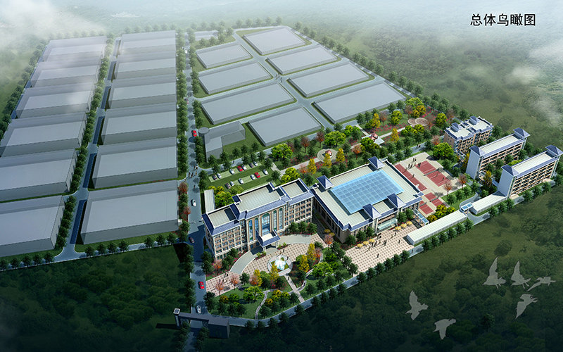 园林绿化工程监理从这六个要素做好