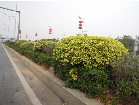 市政道路工程监理质量，如何做好质量控制